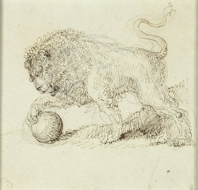 Leone con palla da Giuseppe Bernardino Bison