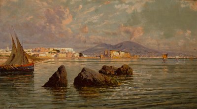 Il Golfo di Napoli da Giuseppe Carelli