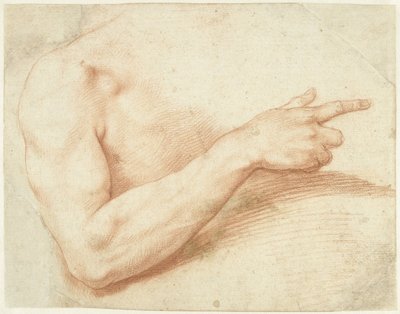 Studio di un braccio da Giuseppe Cesari