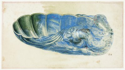 Conchiglia blu e verde con testa di drago da Giuseppe Grisoni