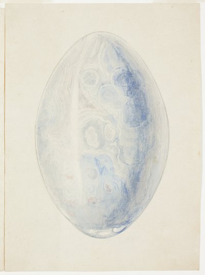 Panoramica della pietra a conchiglia ovale da Giuseppe Grisoni