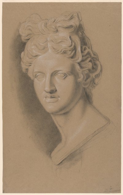 Studio accademico di un busto femminile classico da Giuseppe Longhi