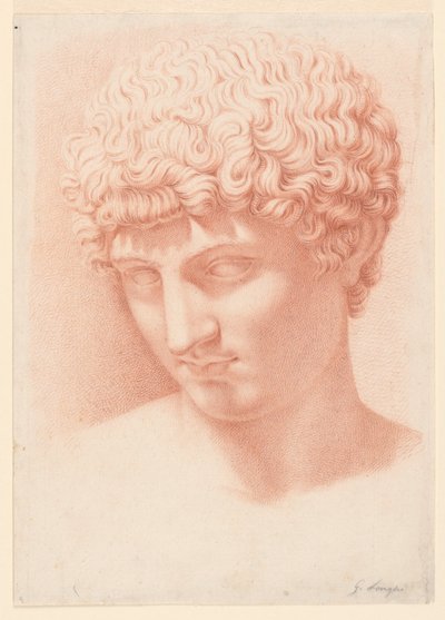 Testa di Apollo da Giuseppe Longhi