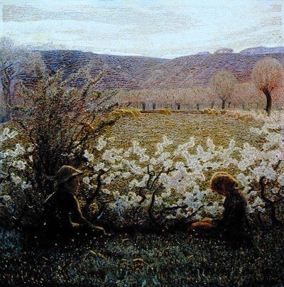Campo in fiore da Giuseppe Pellizza da Volpedo