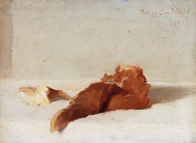 Carne da Giuseppe Pellizza da Volpedo