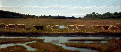 Lo specchio della vita da Giuseppe Pellizza da Volpedo