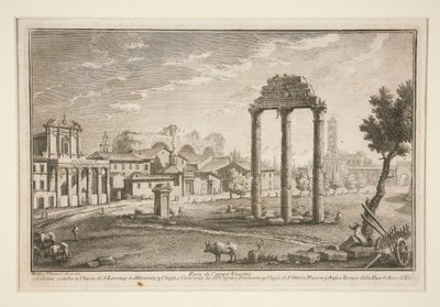 Parte del Campo Vaccino da Giuseppe Vasi
