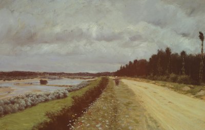 Strada di campagna lungo l