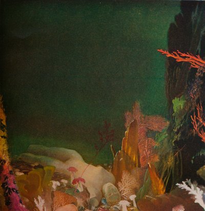 Sotto il mare, c1904-1924, 1924 da Glyn Warren Philpot