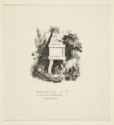 Cervo che beve da Godefroy Engelmann