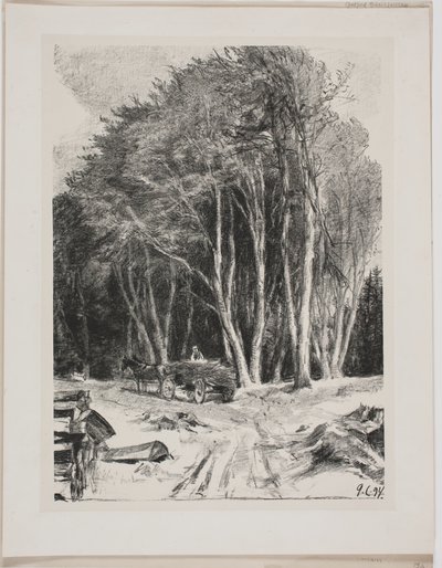 Taglio del bosco da Godfred Christensen