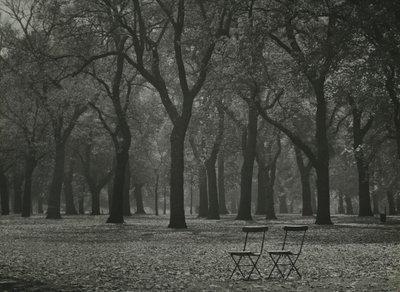 Alberi autunnali a Hyde Park, Londra da Godfrey Macdominic