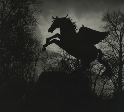 Statua di Pegaso nei Giardini di Mirabell da Godfrey Macdominic