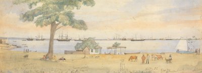 Greytown da Godfrey Thomas Vigne