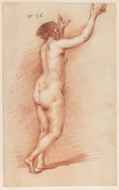 Donna in piedi con le braccia alzate da Govert Flinck (attributed to)