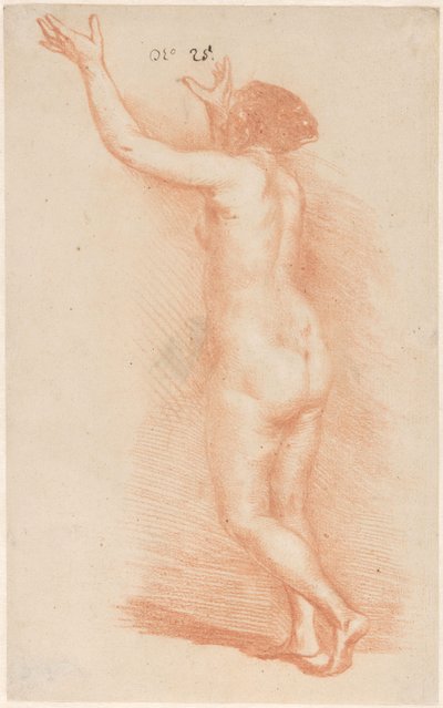 Donna in piedi con le braccia alzate da Govert Flinck (attributed to)