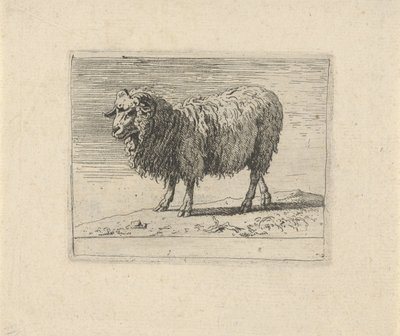 Ariete (Diverse animali) da Govert van der Leeuw