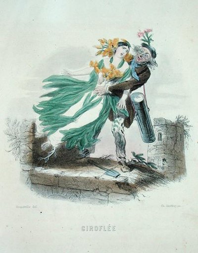 Erborista che ruba la Violaciocca, da 