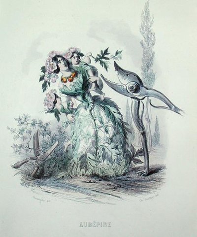 Il biancospino, da 