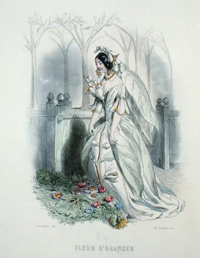Il fiore d