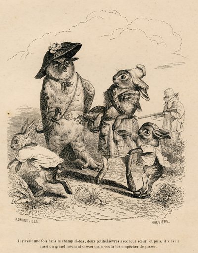 Due piccoli lepri con la loro sorella maggiore fermati da un gufo in un campo. Una volpe che caccia si trova dietro di loro. Vignette illustrate da JJ Granville. Incisione firmata Breviere nella parte "Histoire d