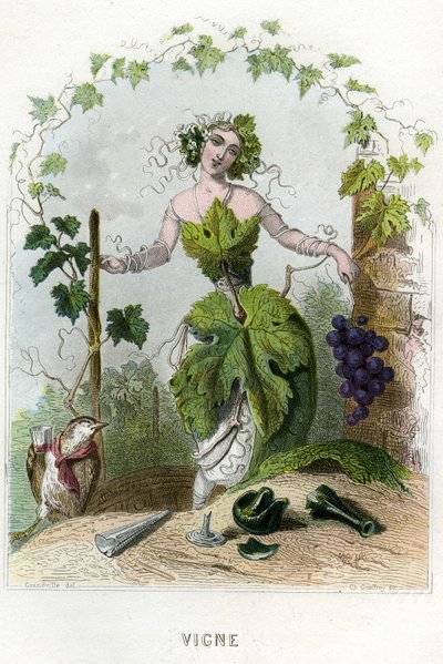 Illustrazione per 