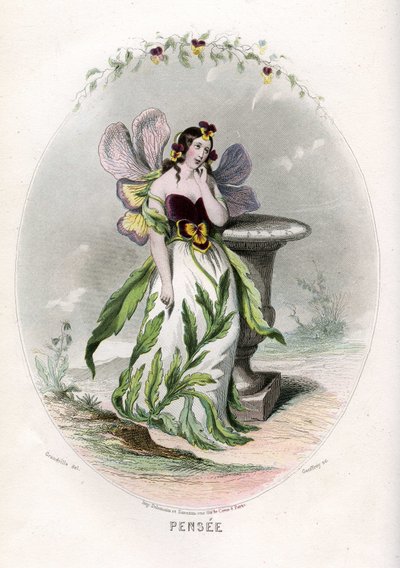 Illustrazione per 