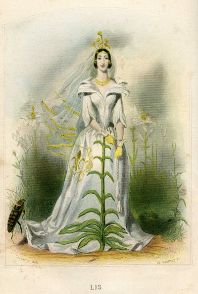Illustrazione per 