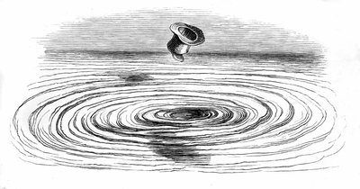 Illustrazione per il romanzo 
