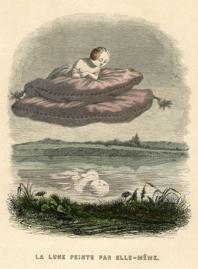 Illustrazione per il romanzo 