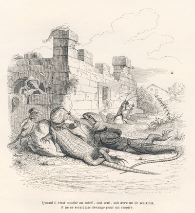 Lucertola che fuma al sole con un suo amico. Vignette illustrate da JJ Granville. Incisione firmata Andrew, Best e Leloir nella parte intitolata "Ricordi di una vecchia cornacchia" scritto da PJ Stahl in "Scene della vita privata e pubblica degli animali" da Grandville