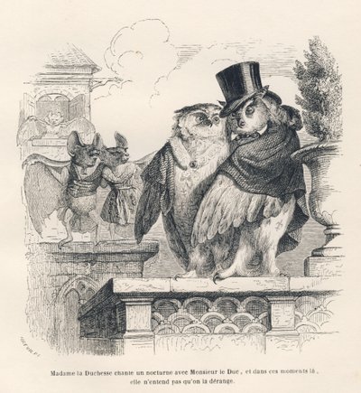 Pipistrello che ascolta una civetta e un gufo cantare. Vignette illustrate da JJ Granville. Incisione firmata Brevière nella parte intitolata "Souvenirs d