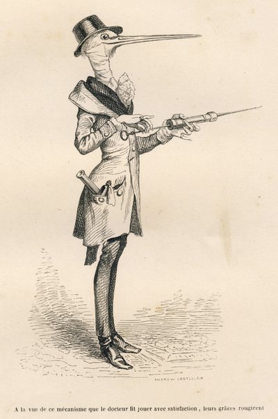 Cicogna medico che manipola un clistere da Grandville