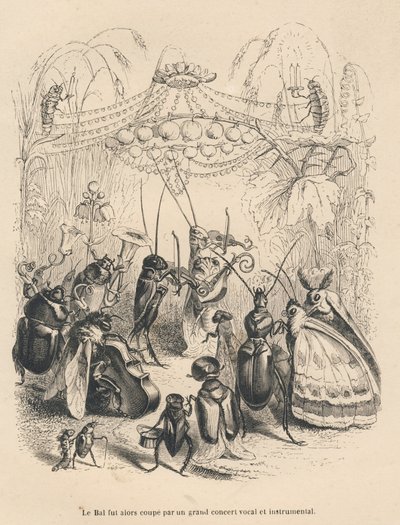 Concerto di insetti a un ballo da Grandville