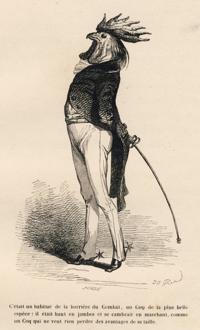 Gallo abituato alla barriera di combattimento che cammina fieramente. Vignette illustrate da JJ Granville. Incisione firmata Caque nella parte "Storia di una lepre" scritto da PJ Stahl in "Scene della vita privata e pubblica degli animali". Parigi, J. Hetz da Grandville