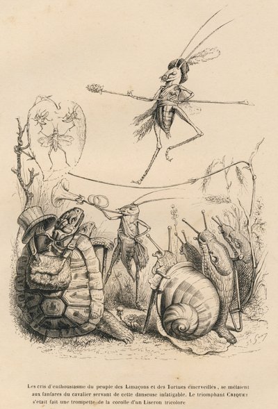 Grillo che suona la tromba davanti a una tartaruga, una lumaca e delle chiocciole. Sopra di lui un altro grillo in equilibrio su un filo. Vignette illustrate da JJ Granville. Incisione firmata Godard nella parte intitolata "Le avventure di una farfalla" da Grandville