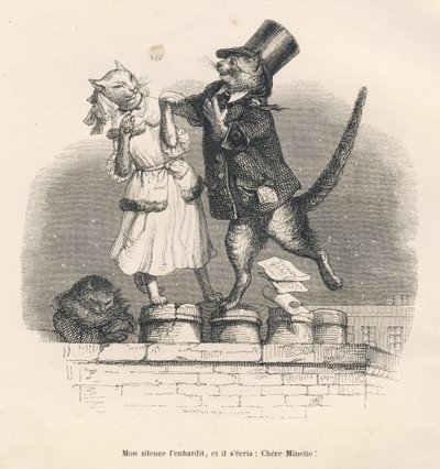 Due gatti che si seducono su un tetto. Vignette illustrate da JJ Granville. Incisione firmata Andrew, Best e Leloir nella parte intitolata "Pene di corte di una gatta inglese" scritto da Honoré de Balzac in "Scene della vita privata e pubblica degli animal da Grandville