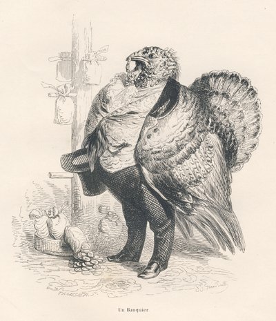 Tacchino in banchiere. Vignette illustrate da JJ Granville. Incisione firmata Tamisier nella parte intitolata "Ricordi di una vecchia cornacchia" scritto da PJ Stahl in "Scene della vita privata e pubblica degli animali". Parigi, J. Hetzel et Paulin da Grandville