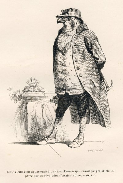 Falco rovinato dalle rivoluzioni. Vignette illustrate da JJ Granville. Incisione firmata Breviere nella parte intitolata "Ricordi di una vecchia cornacchia" scritto da PJ Stahl in "Scene della vita privata e pubblica degli animali". Parigi, J. Hetzel e Pau da Grandville