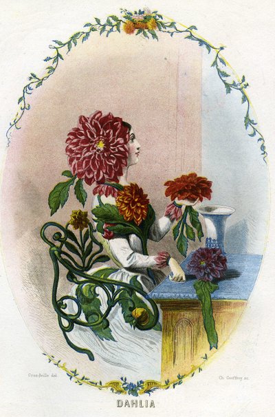 Illustrazione per 