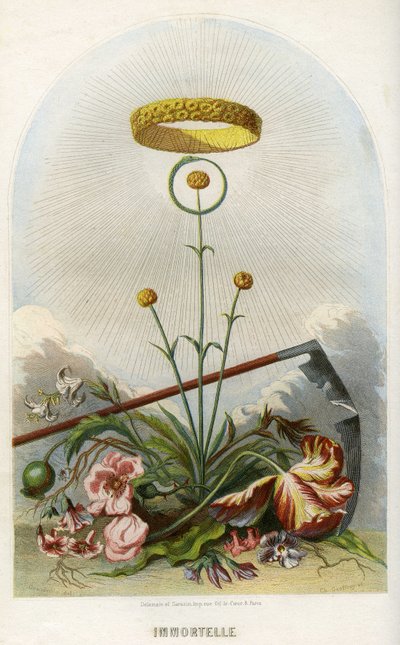 Illustrazione per 