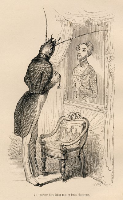 Insetto che guarda il suo riflesso umano nello specchio. Vignette illustrate da JJ Granville. Incisione firmata Andrew, Best e Leloir nella parte intitolata "Le avventure di una farfalla" scritto da PJ Stahl in "Scene della vita privata e pubblica degli an da Grandville