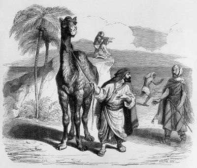 Favola di La Fontaine: il cammello e i bastoni galleggianti (incisione di J.J. Grandville, c. 1838-40) da Grandville (1803 47)