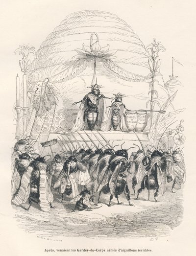 La regina delle api e il suo esercito. Vignette illustrate da JJ Granville. Incisione firmata Andrew, Best e Leloir nella parte intitolata "Viaggio di un passero di Parigi" scritto da George Sand in "Scene della vita privata e pubblica degli animali". Pari da Grandville
