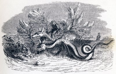 Il drago a più teste e il drago a più code - Favole di La Fontaine da Grandville