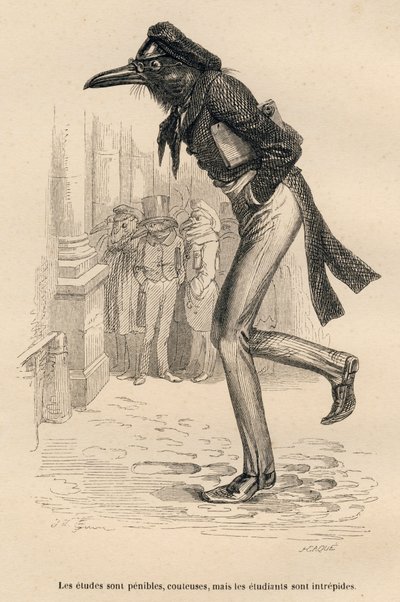 Gli studi sono difficili, costosi ma gli studenti sono intrepidi da Grandville