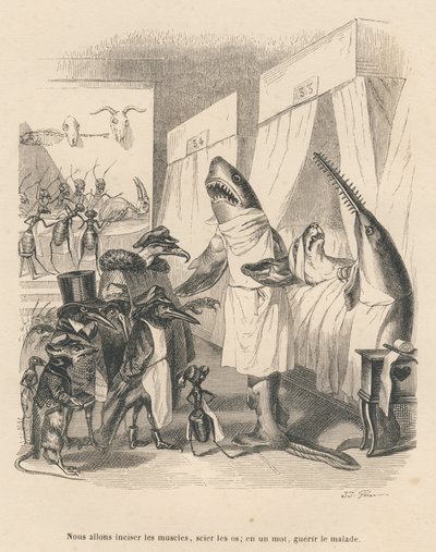 Gli squali medici spiegano il loro intervento chirurgico. Vignette illustrate da JJ Granville. Incisione firmata Godard nella parte intitolata "Les animaux medecins" scritta da Pierre Bernard in "Scenes de la vie privee et publique des animaux". Paris da Grandville