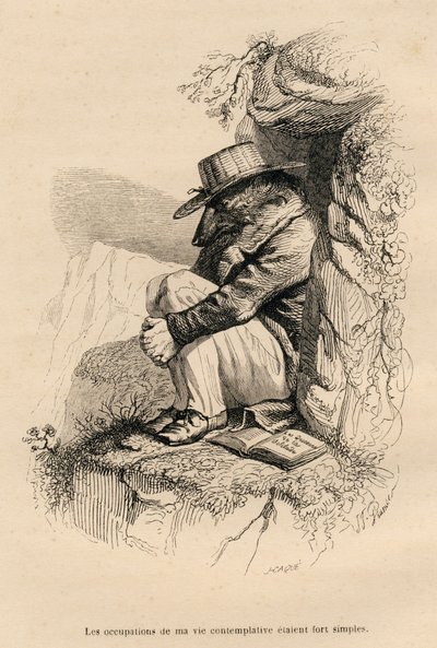 Lupo ritirato nella sua solitudine contemplativa da Grandville