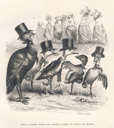 Mestiere di oca che consiste nel portare gli alunni nei campi. Le oche si allontanano dal loro bambino. Vignette illustrate da JJ Granville. Incisione firmata Breviere nella parte intitolata "Guida-asino per gli animali che vogliono raggiungere gli onori"  da Grandville