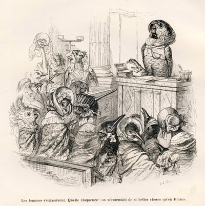Pappagallo eloquente. Vignette illustrate da JJ Granville. Incisione firmata Porret nella parte intitolata "Guida-asino per gli animali che vogliono raggiungere gli onori" scritto da Honoré De Balzac in "Scene della vita privata e pubblica degli animali" da Grandville